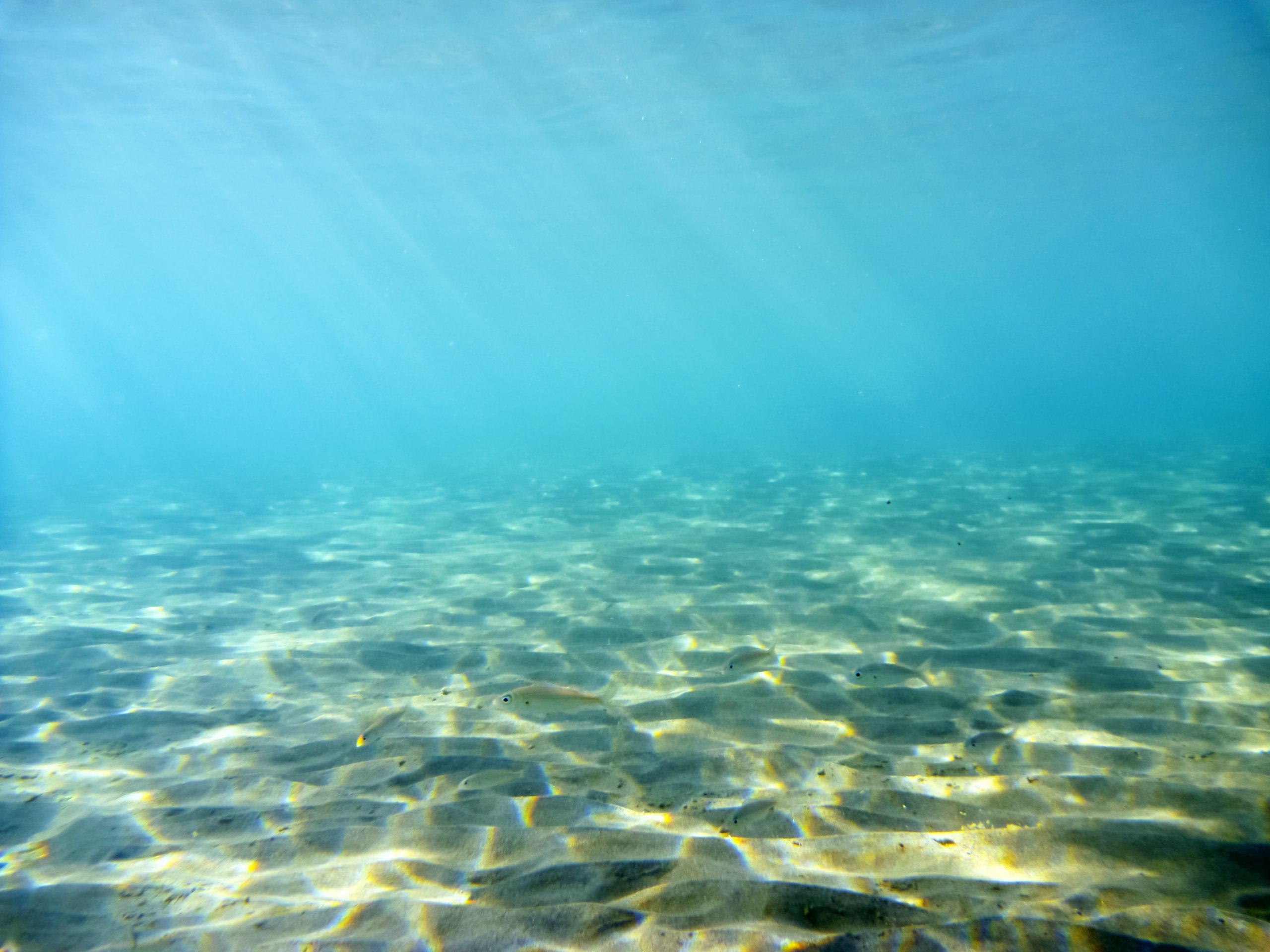 South Florida By Sea: 10 Must-Visit Spots For Boaters 3